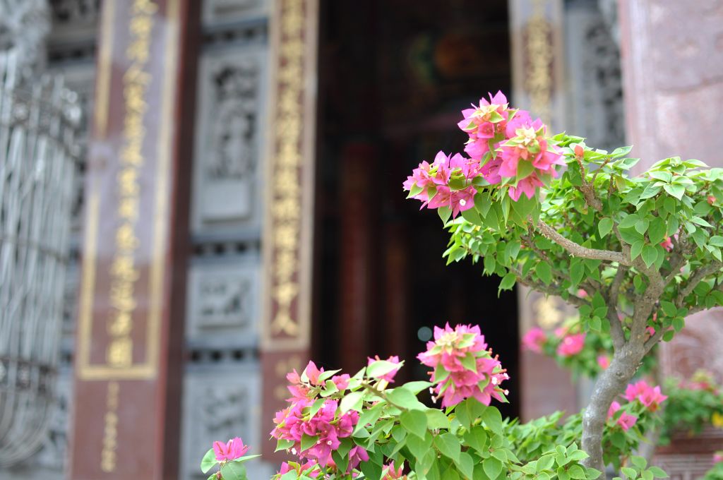 Tempel mit Blumen in Taiwan